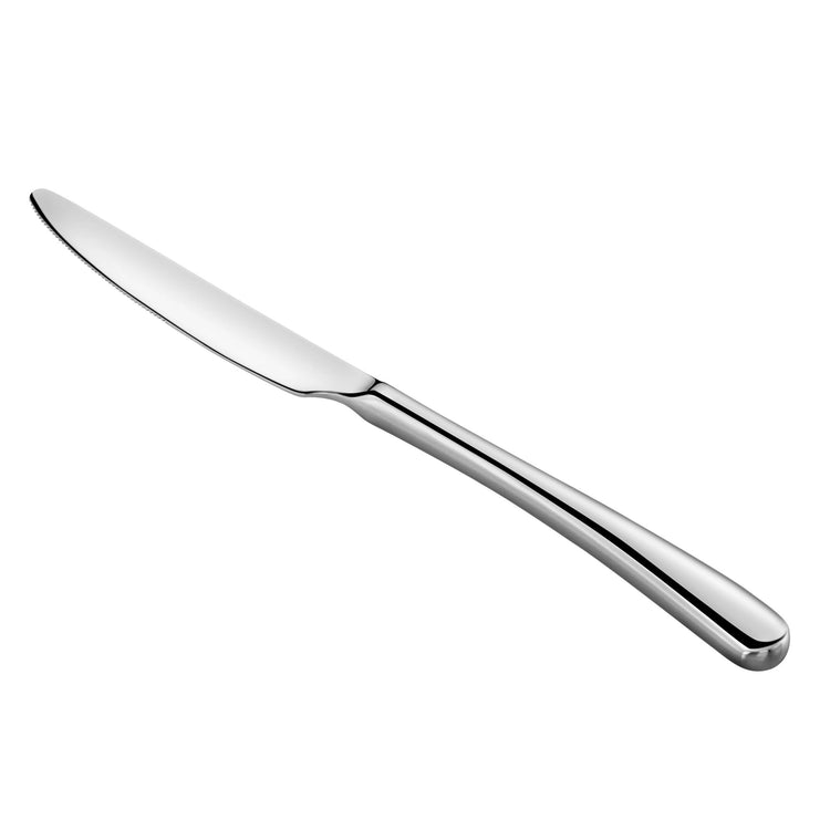 Single stainless steel dinner knife with a smooth, mirror-finished handle and slightly curved blade.