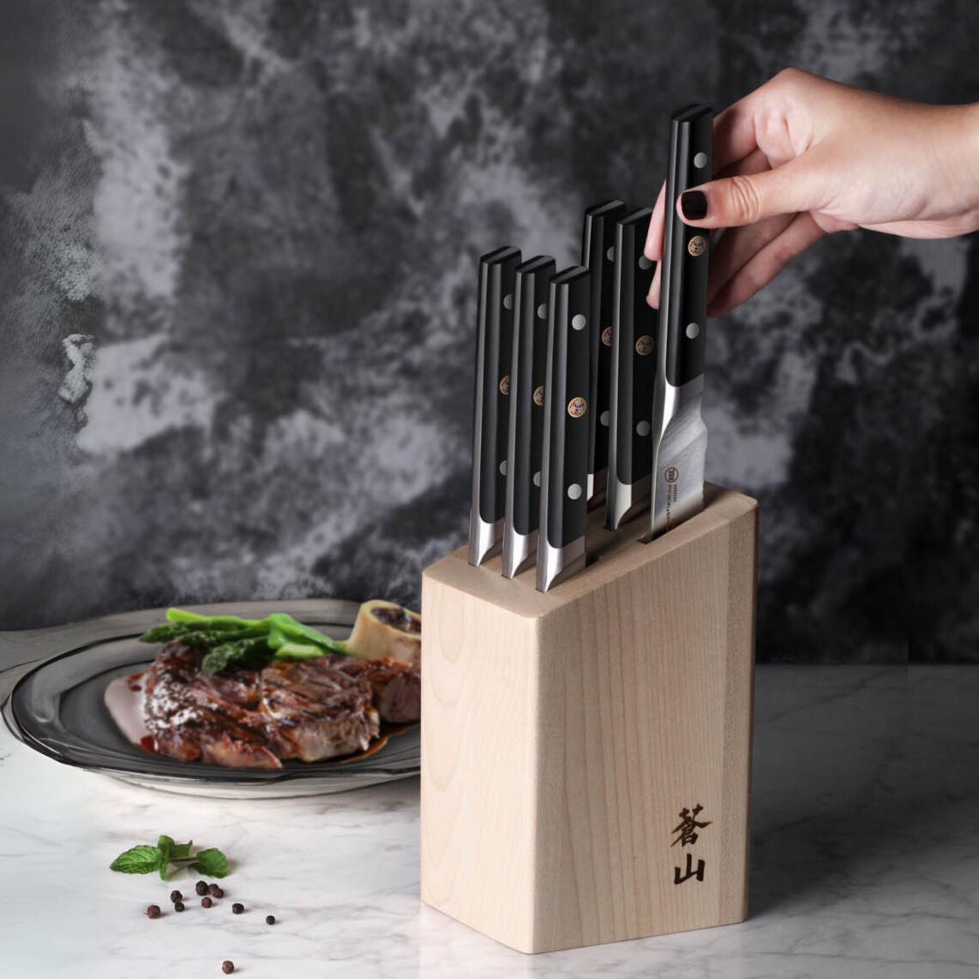 TC Series 6-Piece Steak Knife Block Set, Forged Swedish 14C28N Steel